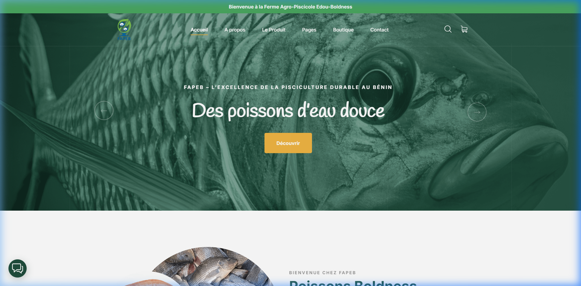 FAPEB Screenshot